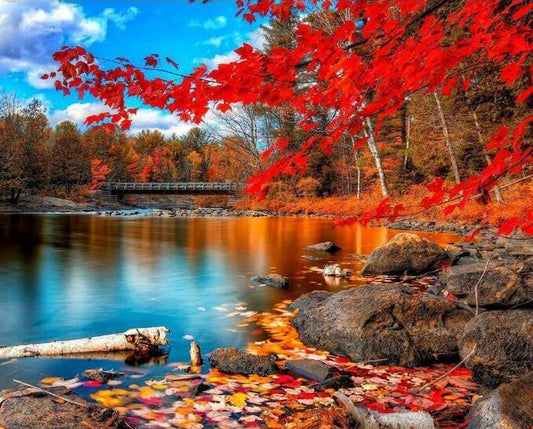 Lake View Paint by Numbers