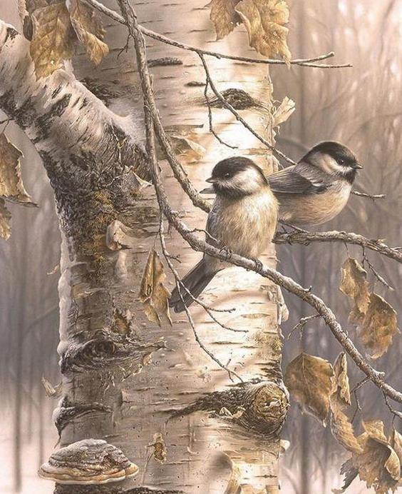 Chickadee Pair Paint by Numbers