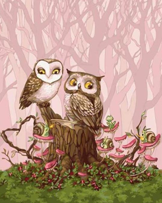 Cartoonist Owl Paint by Numbers