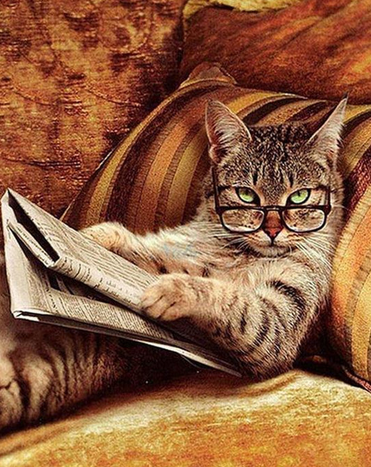 Funny Cat Paint by Numbers