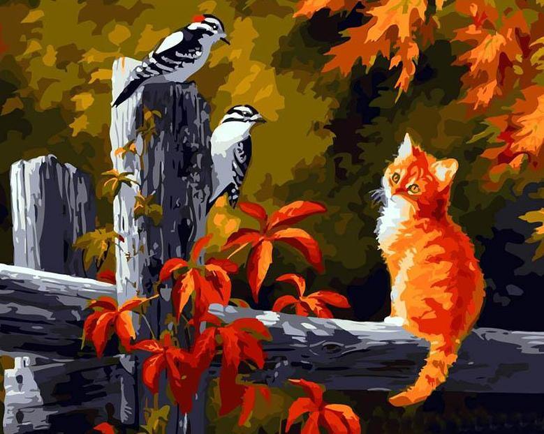 Starring Cat Paint by Numbers