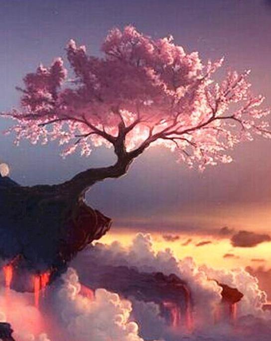 Cherry Blossom Paint by Numbers