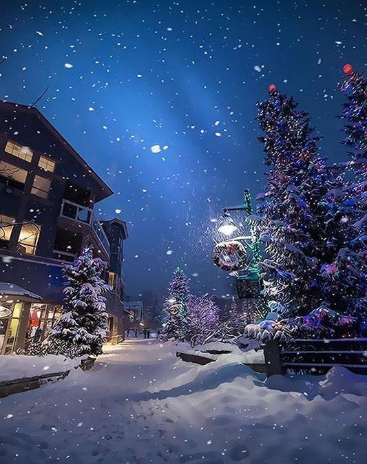 Christmas in North Carolina DIY Painting Kit