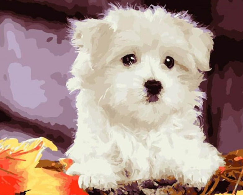 White Puppy Paint by Numbers