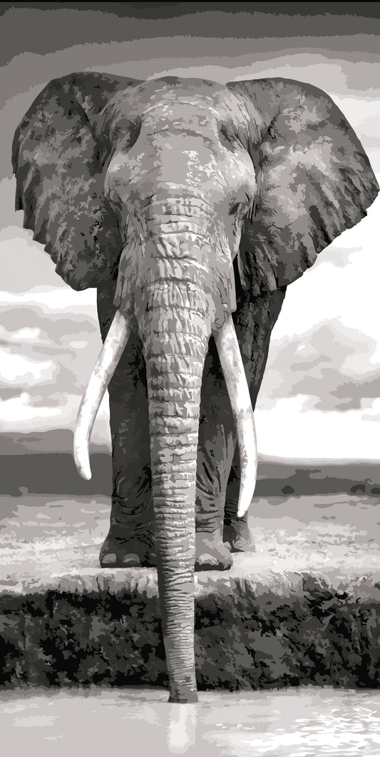 Elephant Painting by Numbers