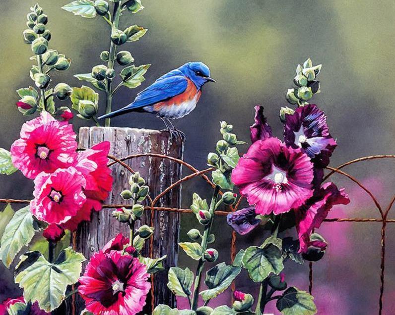 Garden Bird Paint by Numbers