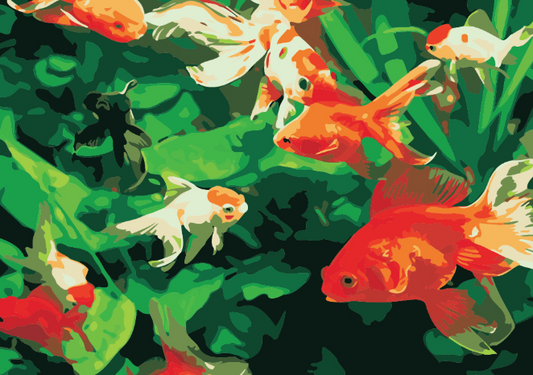 Gold Fish Paint by Numbers
