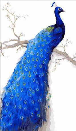 blue Peacock Paint by Numbers