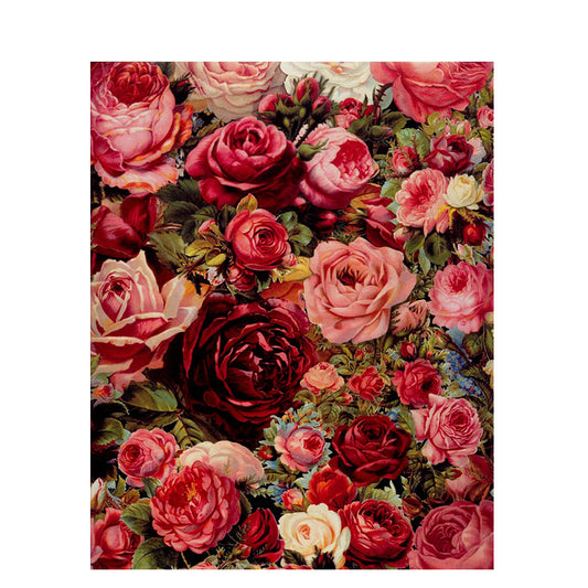 Gorgeous Rose Paint by Numbers