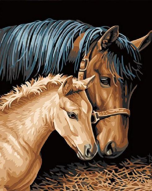 Horse with Baby Paint by Numbers