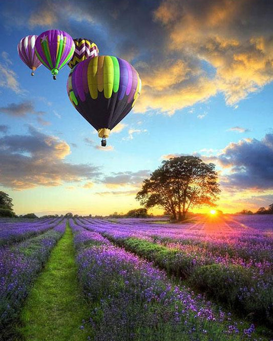 Air Balloons Paint by Numbers