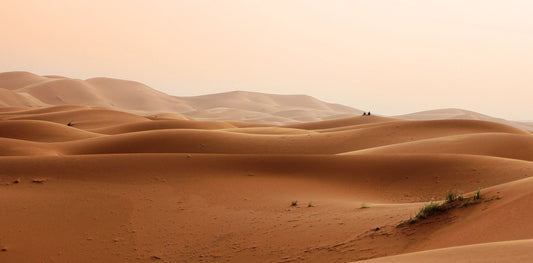 Hot Desert DIY Painting Kit