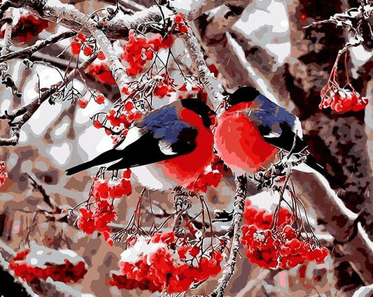 Pair of Bullfinch Paint by Numbers