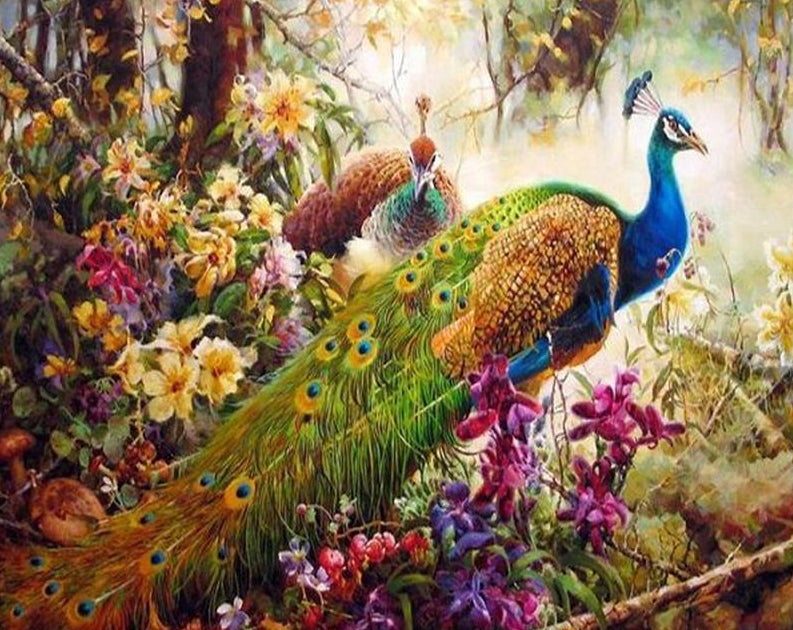 Peacocks Pair Paint by Numbers