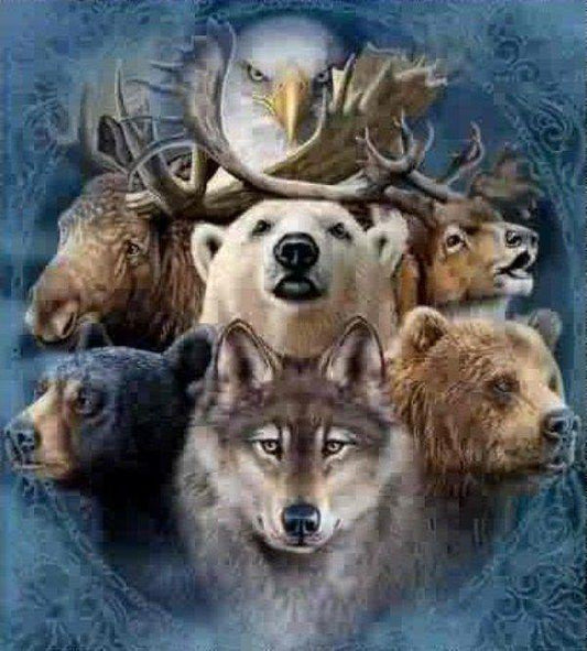 Spirit Animals Paint by Numbers