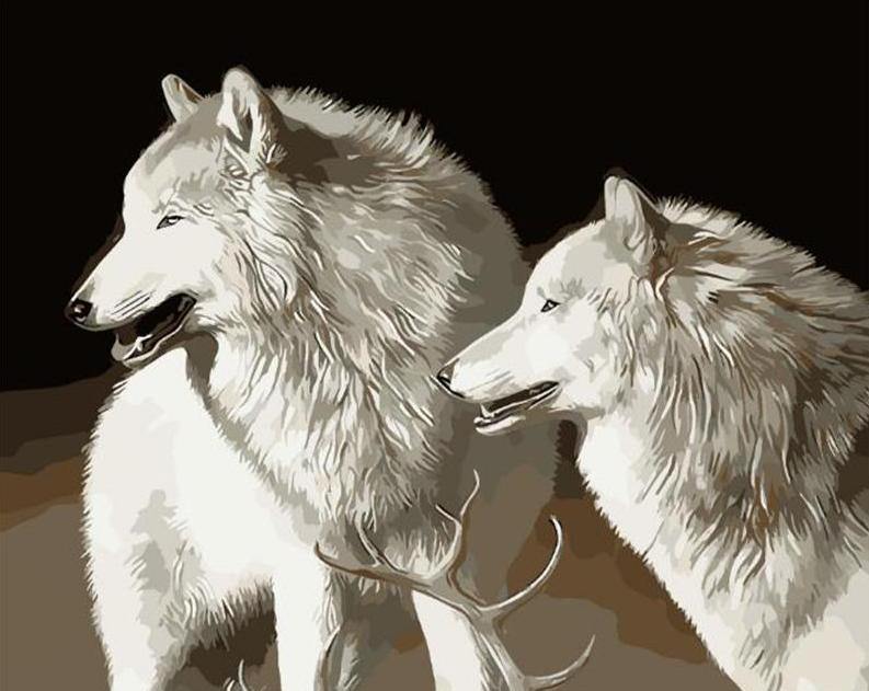 Stunning Wolves Paint by Numbers