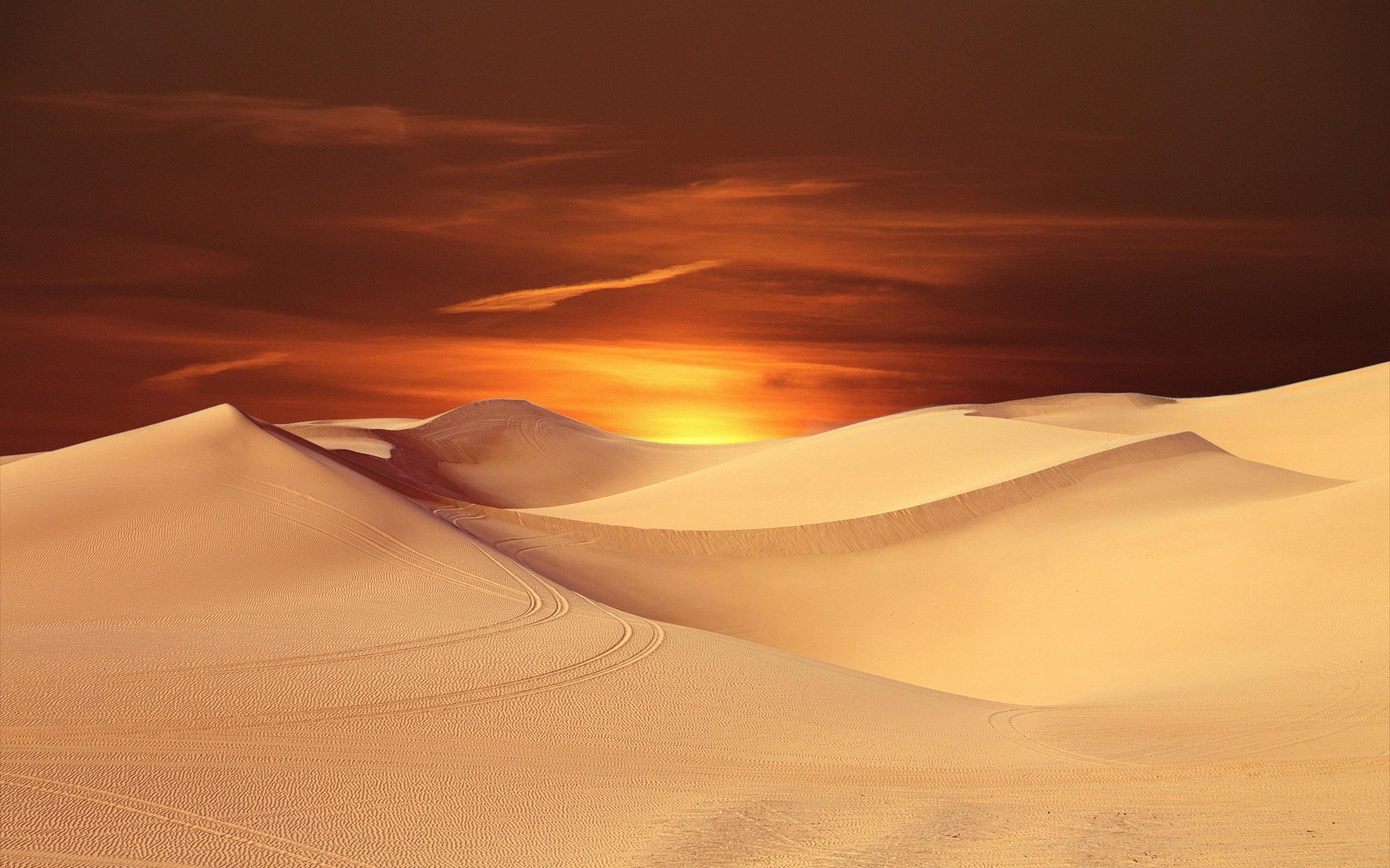 Sunset & Desert Paint by Numbers