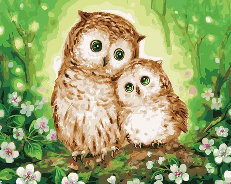 Owl Paint by Numbers Kit