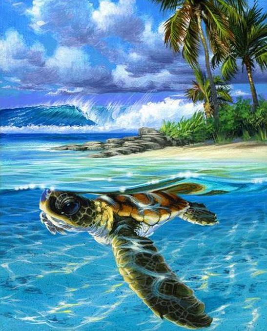 Turtle in the Sea Paint by Numbers