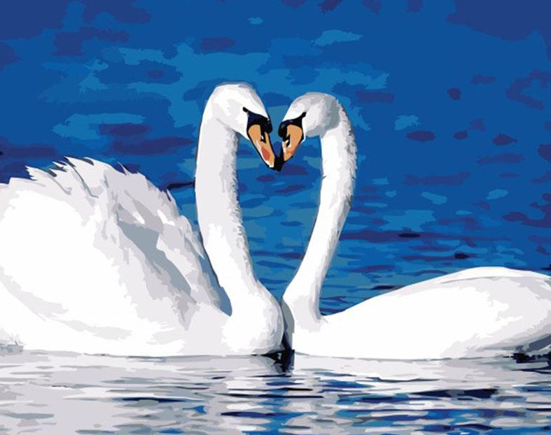 White Swans Paint by Numbers