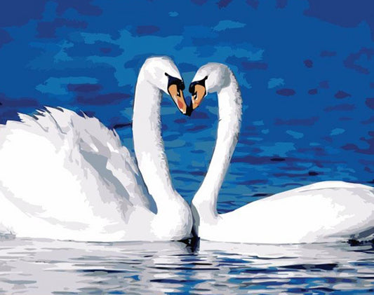 White Swans Paint by Numbers