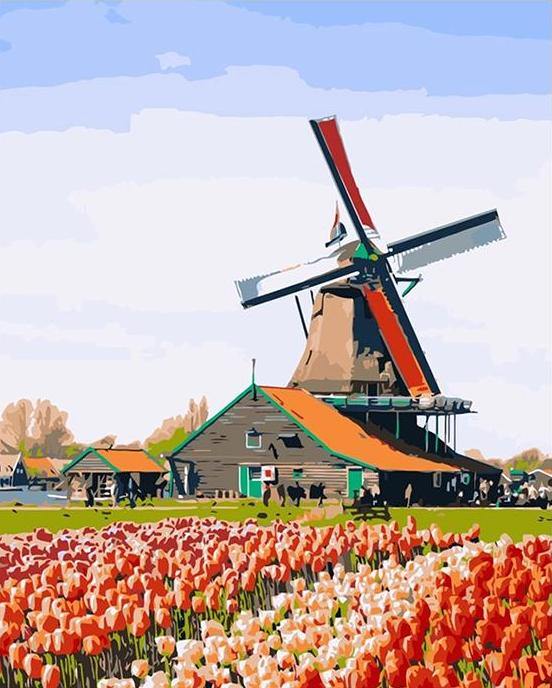 Tulips Fields Paint by Numbers
