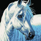 Sad Horse Paint by Numbers