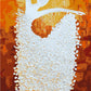 Floral Dancing Girl Paint by Numbers