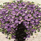 Acrylic Flowers Paint by Numbers