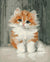 Adorable Cat Paint by Numbers