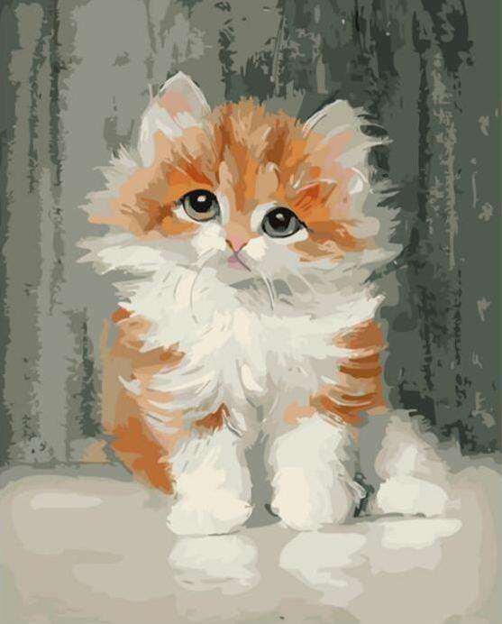 Adorable Cat DIY Painting Kit - Paint by Numbers Home