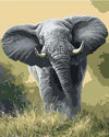 African Elephant Paint by Numbers