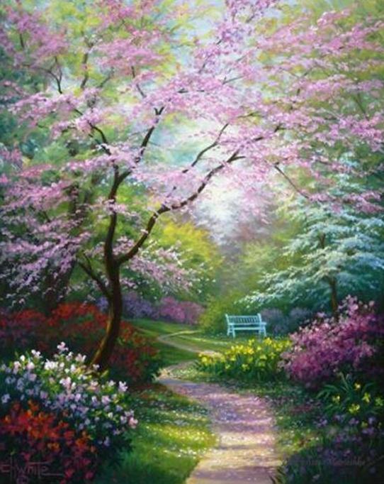 Spring Garden Paint by Numbers