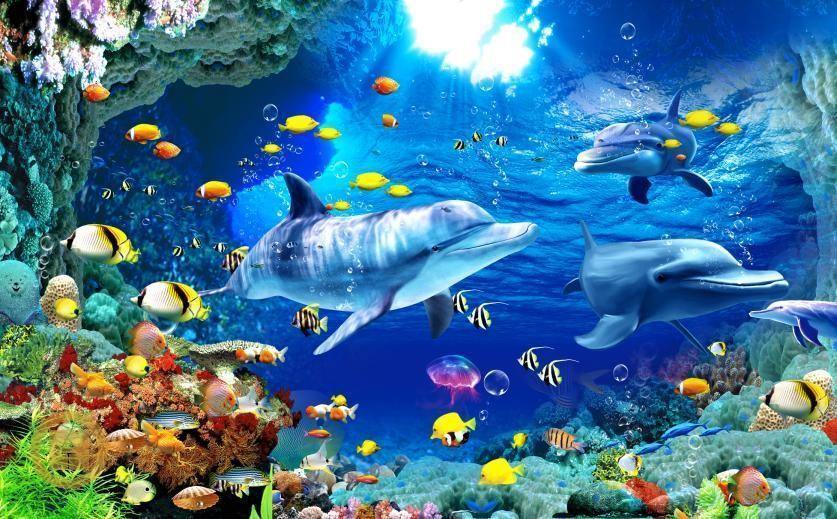 Marine Life Paint by Numbers