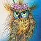 Amazing Owl Paint by Numbers