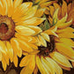 Amazing Sunflowers Paint by Numbers