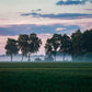 Evening Landscape Paint by Numbers