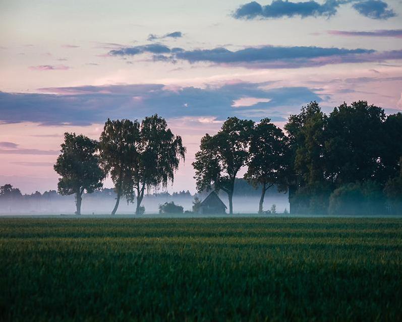 Evening Landscape Paint by Numbers