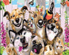 Funny Animals Paint by Numbers