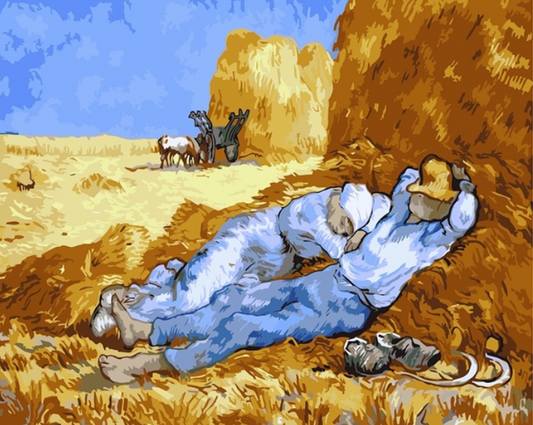  Wheat fields Paint by Numbers