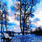Autumn Park Paint by Numbers