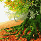 Autumn Tree Paint by Numbers