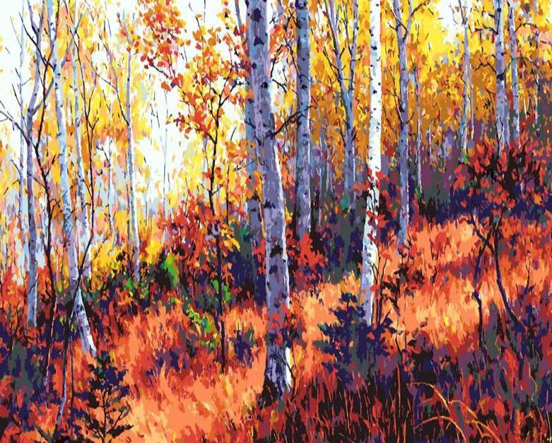 Autumn Woods Paint by Numbers