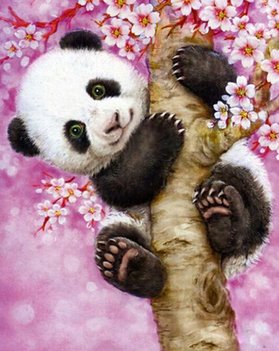 Baby Panda Paint by Numbers