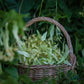 Sweet Grass Paint by Numbers