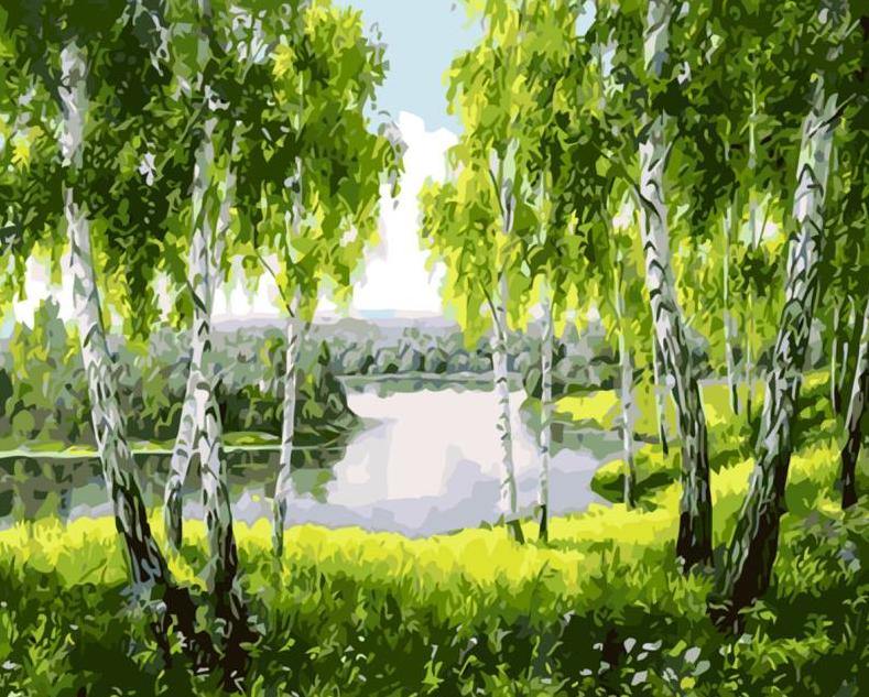 Beautiful Green Forest Paint by Numbers
