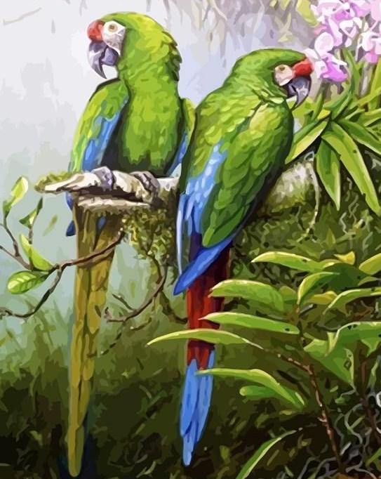 Green Parrots Paint by Numbers