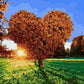 Heart Tree Paint by Numbers