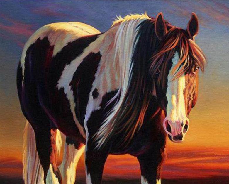 Horse with Long Hair Paint by Numbers