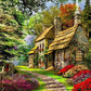 House & Flowers Paint by Numbers